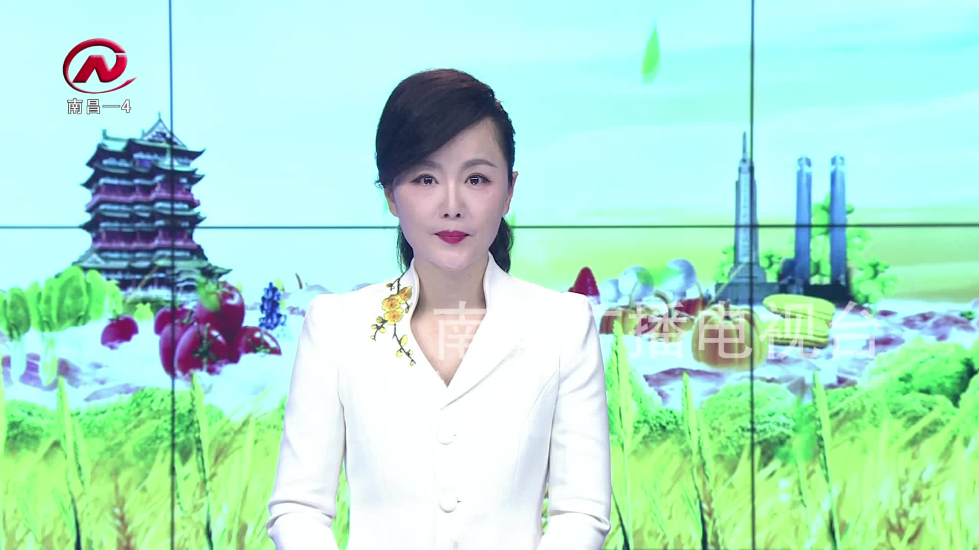 【豫章农视】全市冬春农田水利暨高标准农田建设现场推进会召开