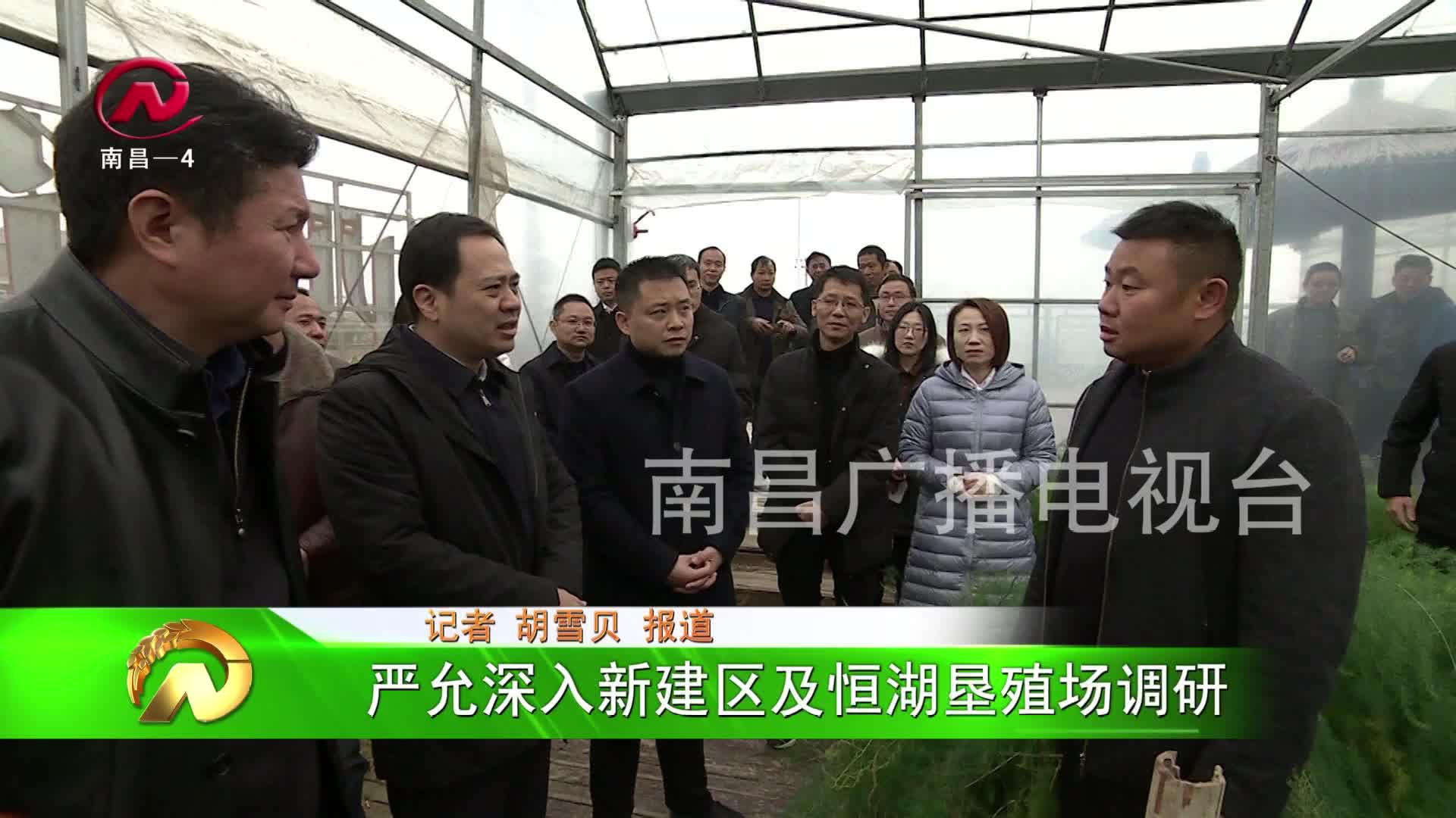 【豫章农视】严允深入新建区及恒湖垦殖场调研