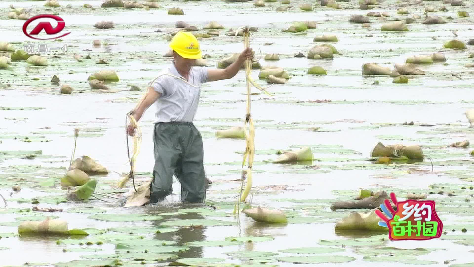 乡约百村园 2020-12-11