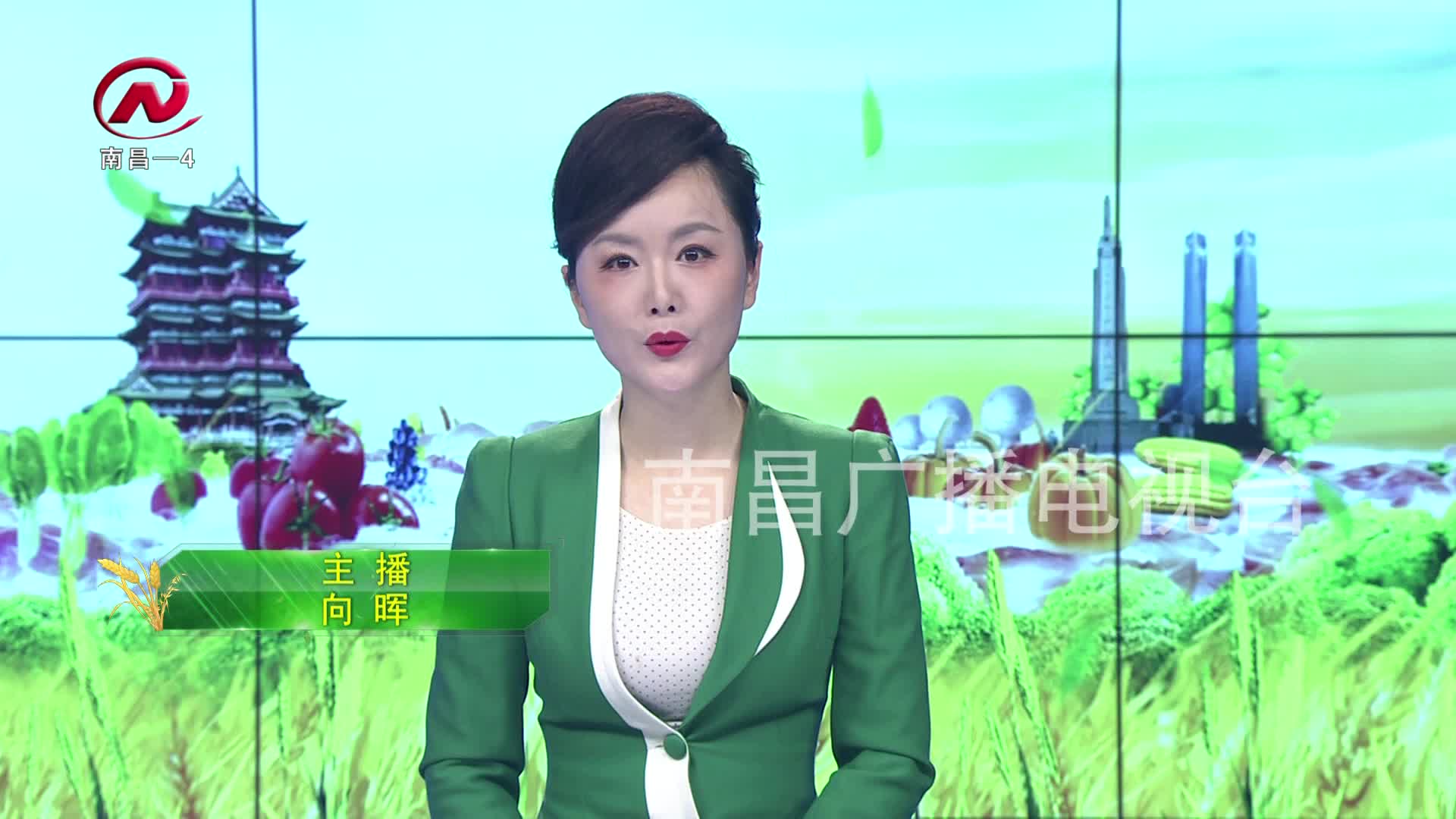 【豫章农视】市农业农村局党员干部参观市党章教育馆