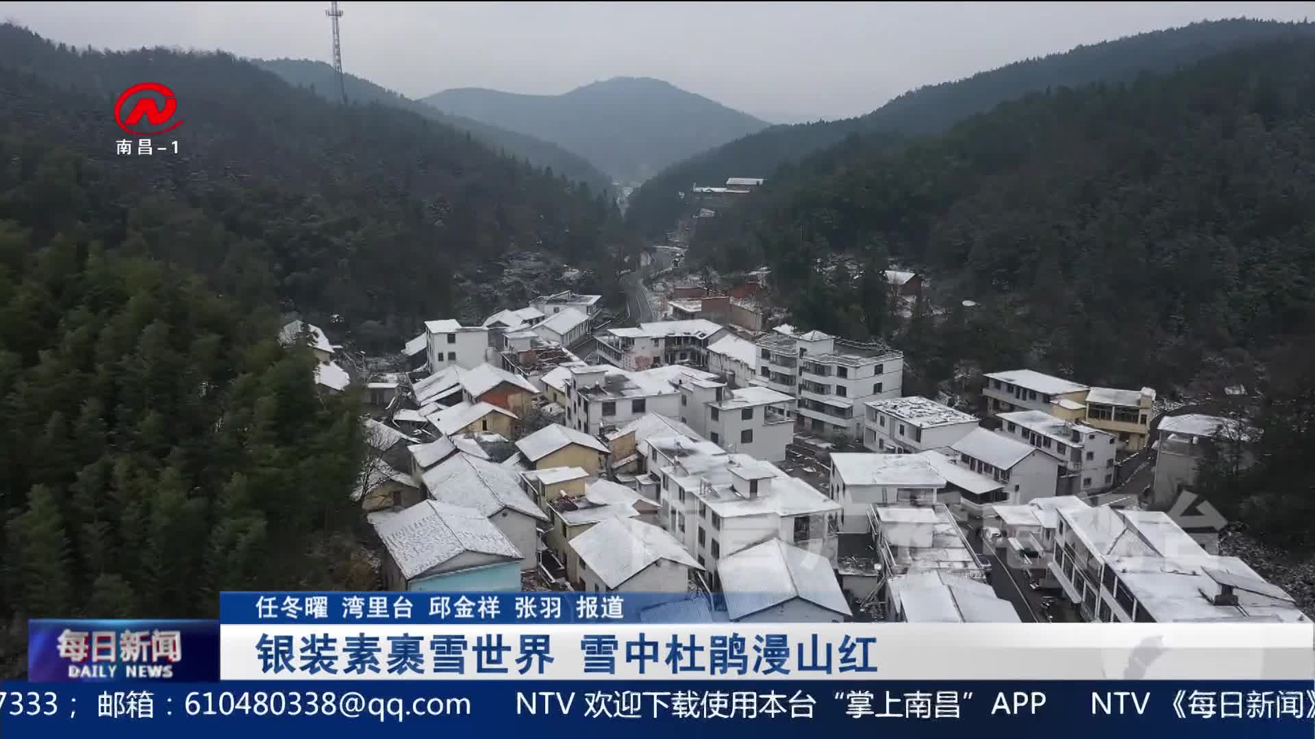 银装素裹雪世界 雪中杜鹃漫山红
