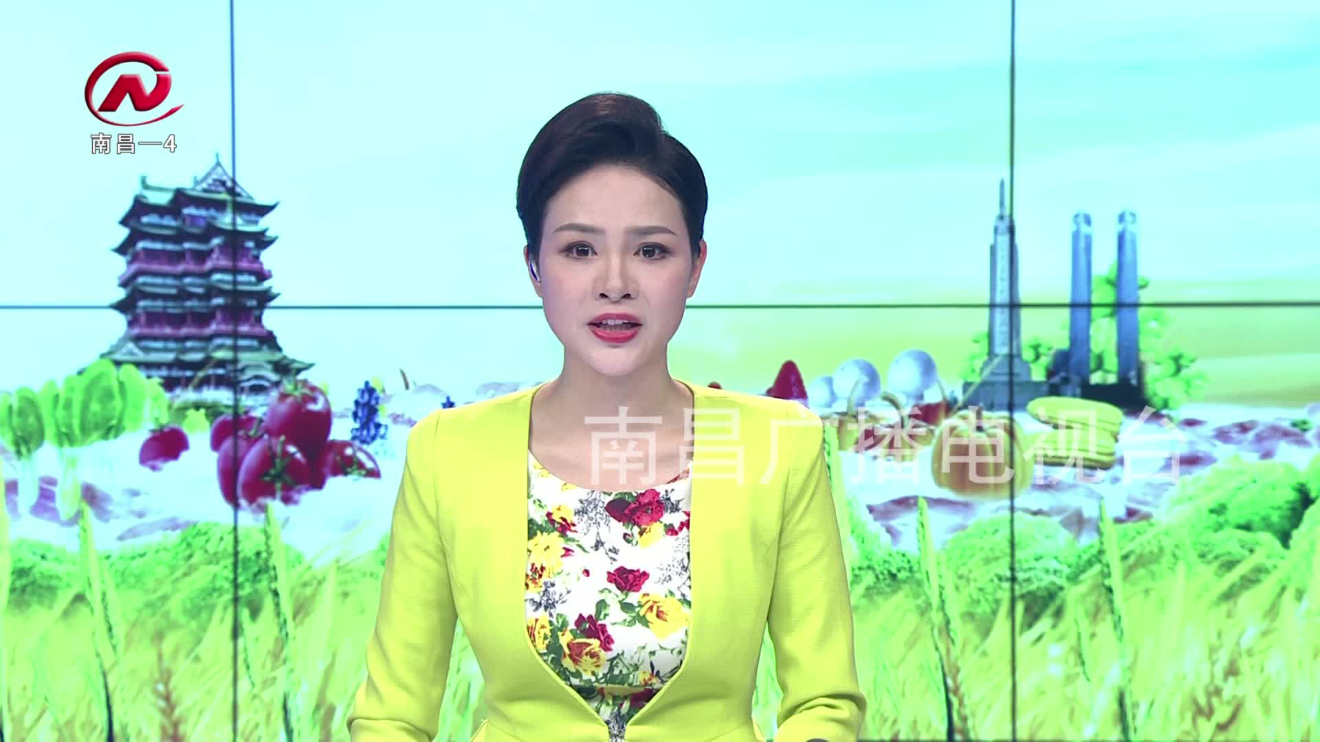 【豫章农视】解读市委全会精神 ：乡村振兴成效显著 现代农业提质增效