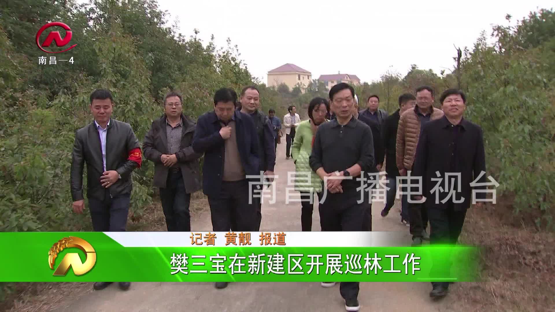 【豫章农视】樊三宝在新建区开展巡林工作