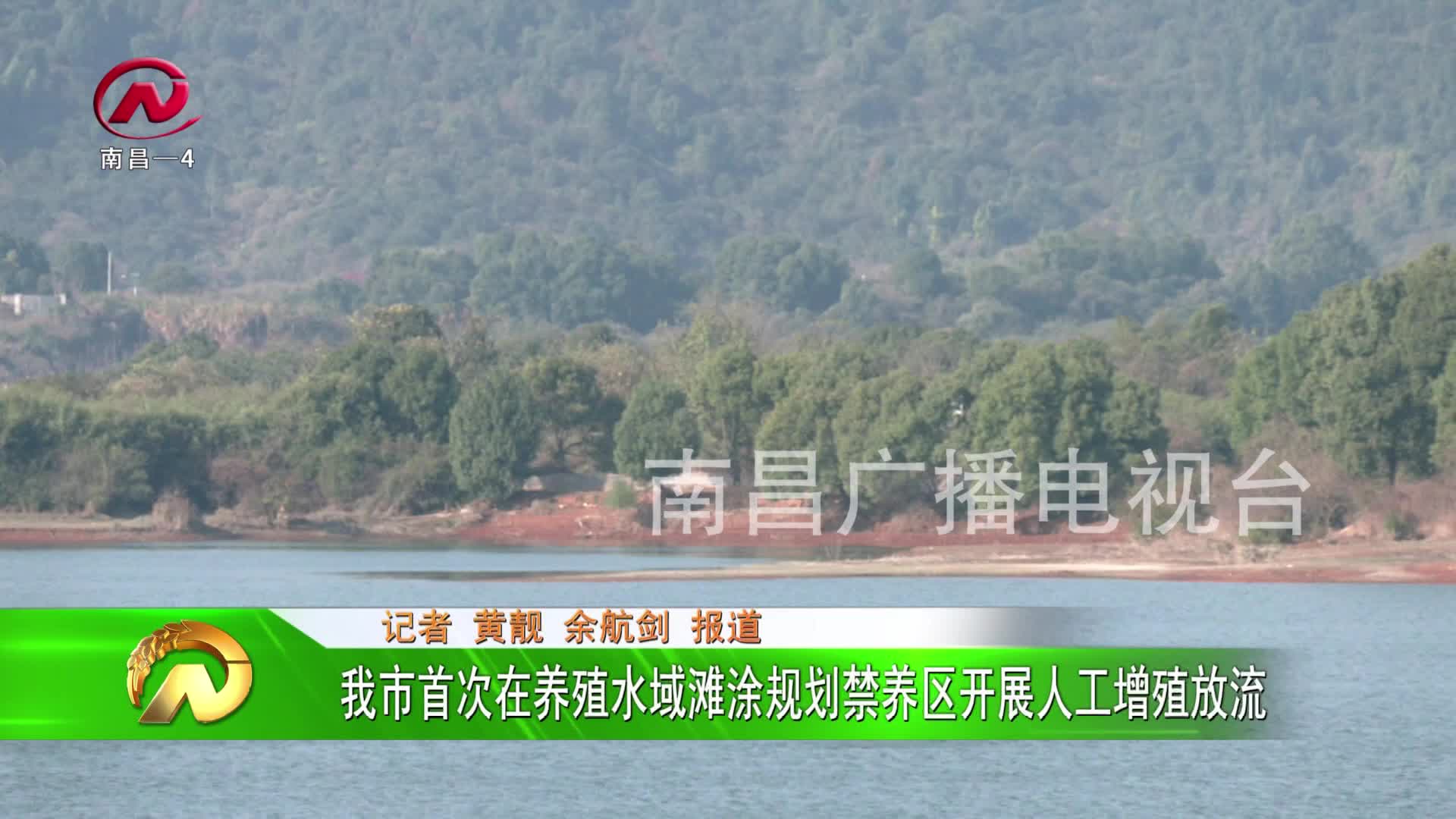 【豫章农视】我市首次在养殖水域滩涂规划禁养区开展人工增殖放流