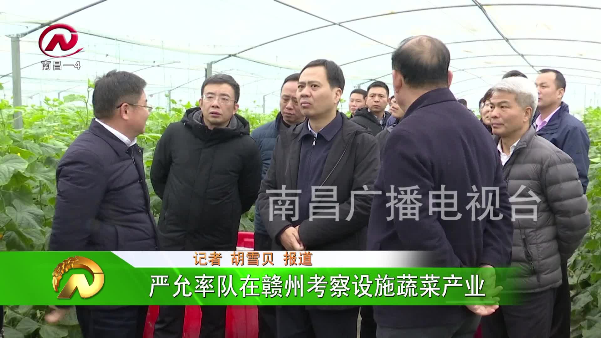 【豫章农视】严允率队在赣州考察设施蔬菜产业