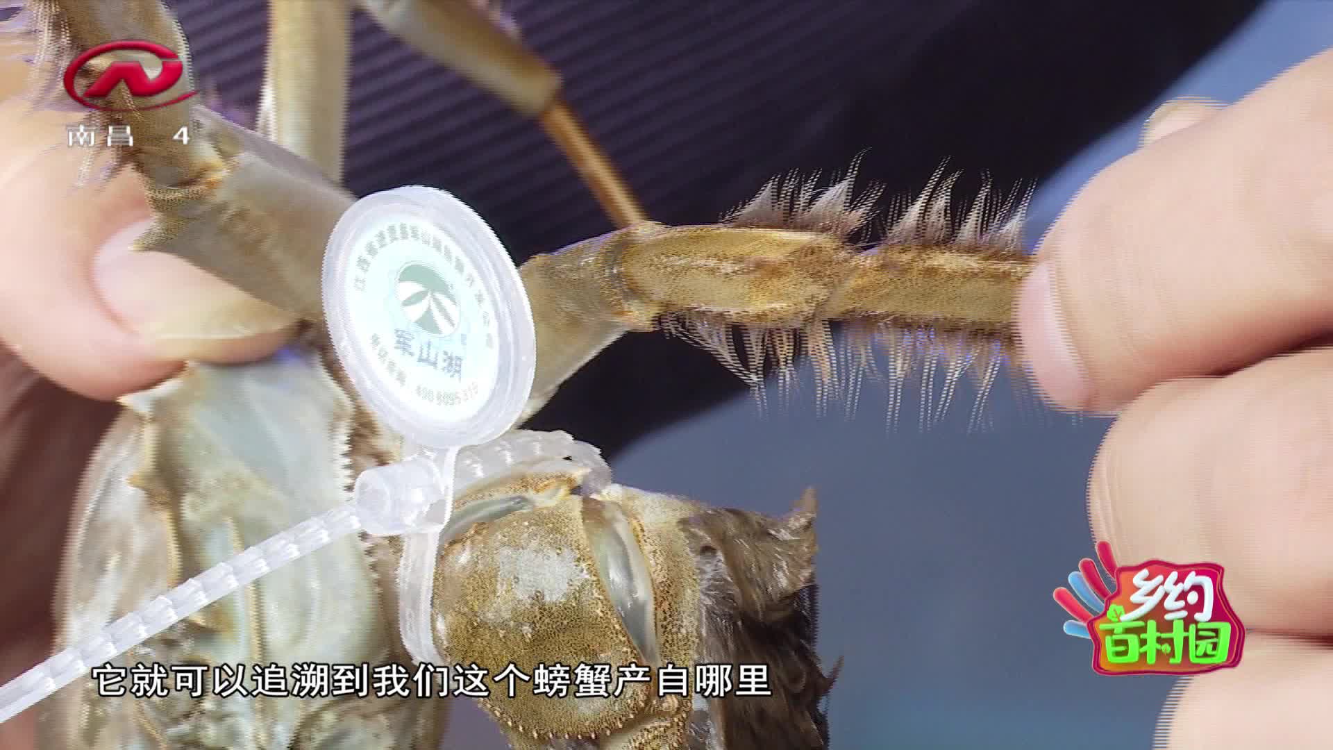 乡约百村园 2020-12-18