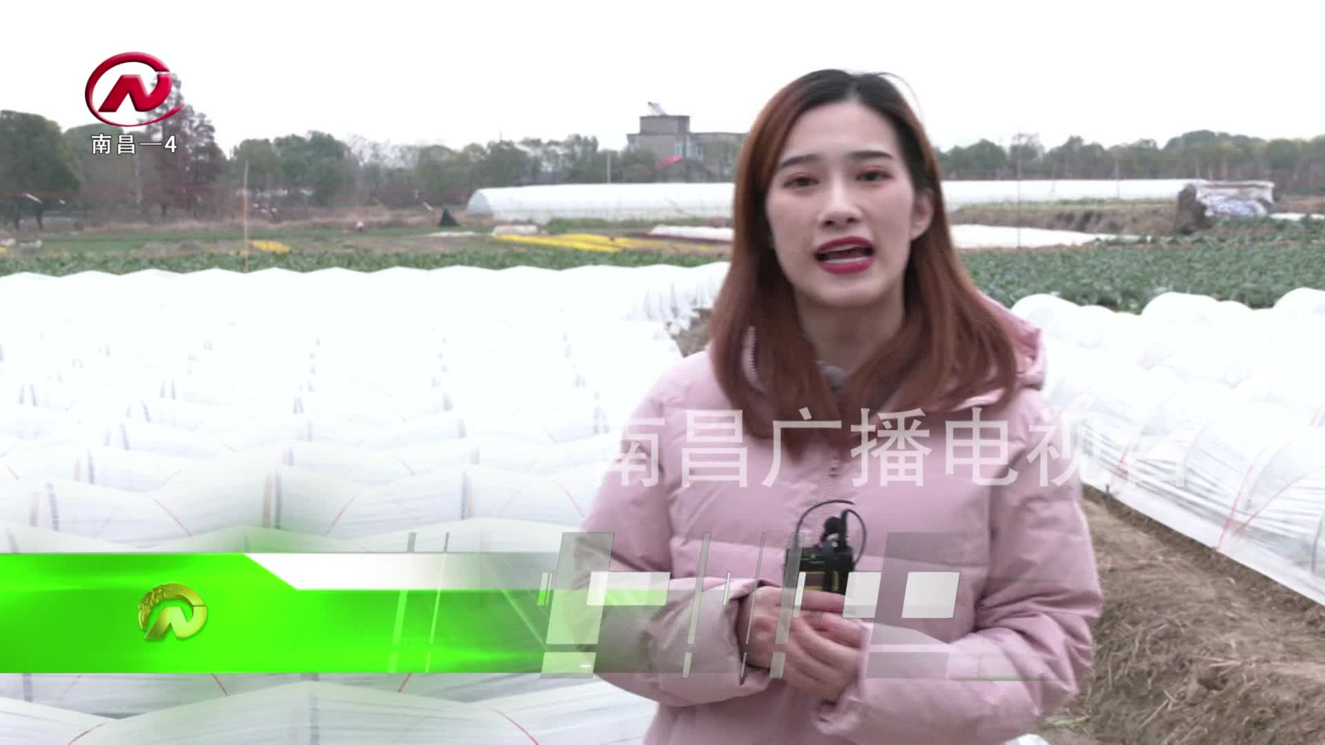 【豫章农视】乡村气象 冬至 春之先声也