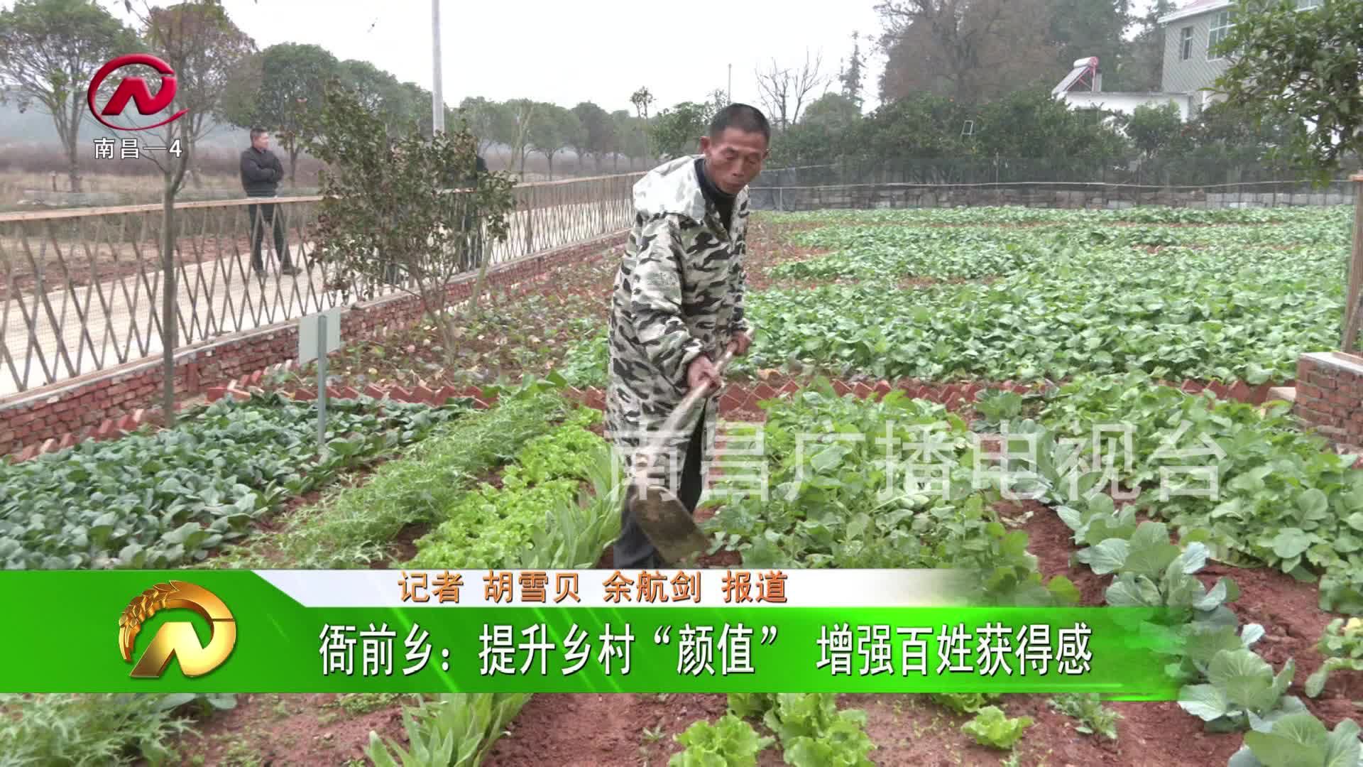 【豫章农视】衙前乡：提升乡村“颜值” 增强百姓获得感