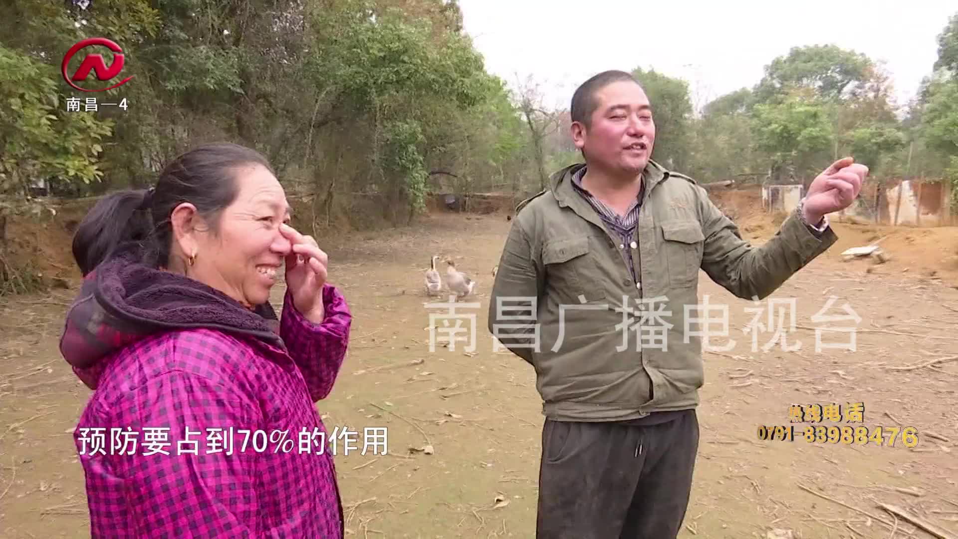 【豫章农视】致富路上的“一线生鸡”