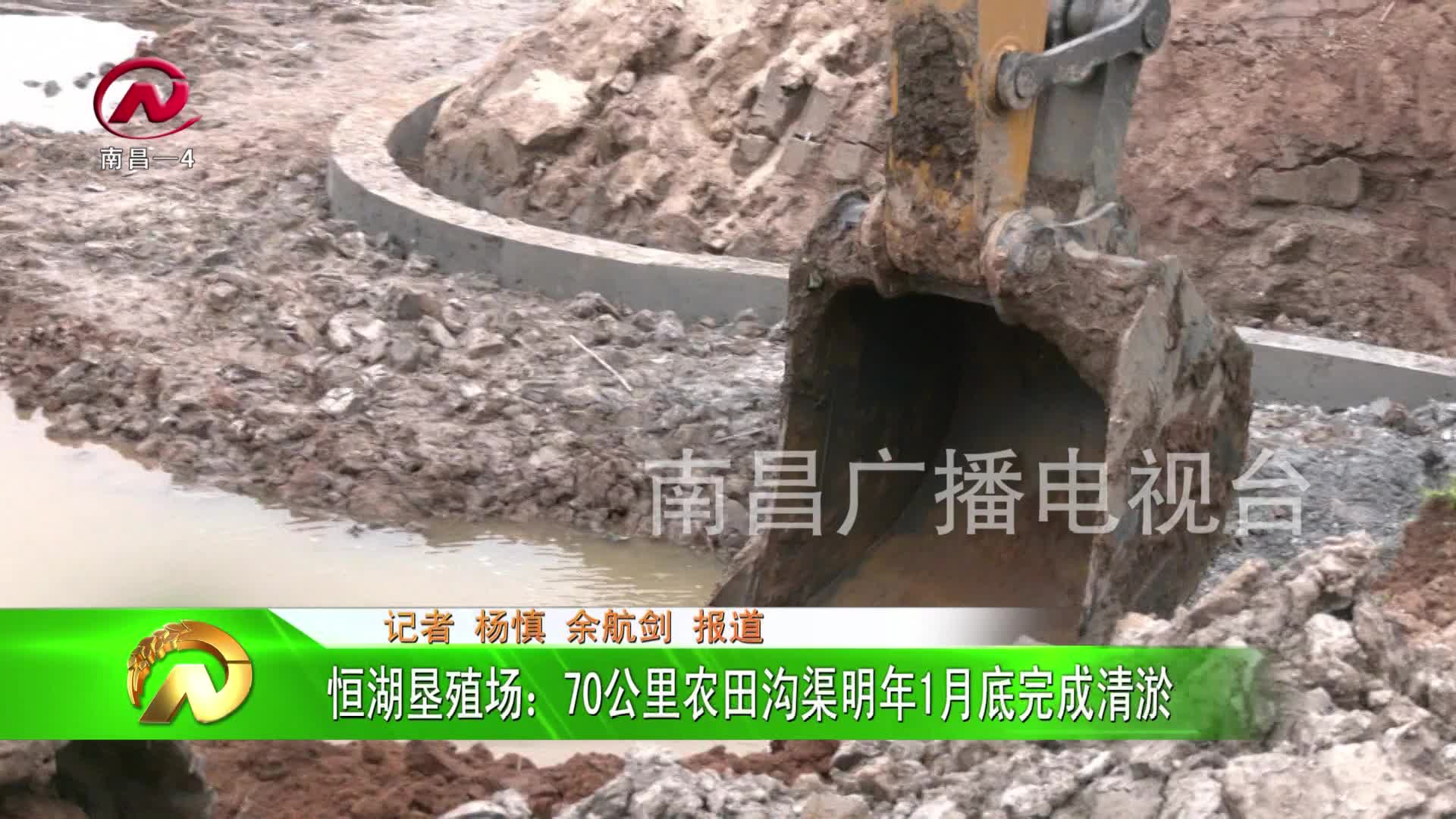【豫章农视】恒湖垦殖场：70公里农田沟渠明年1月底完成淤泥治理