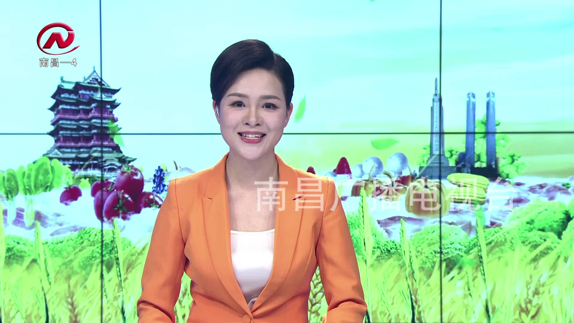 【豫章农视】第十三届中国绿色食品博览会圆满闭幕