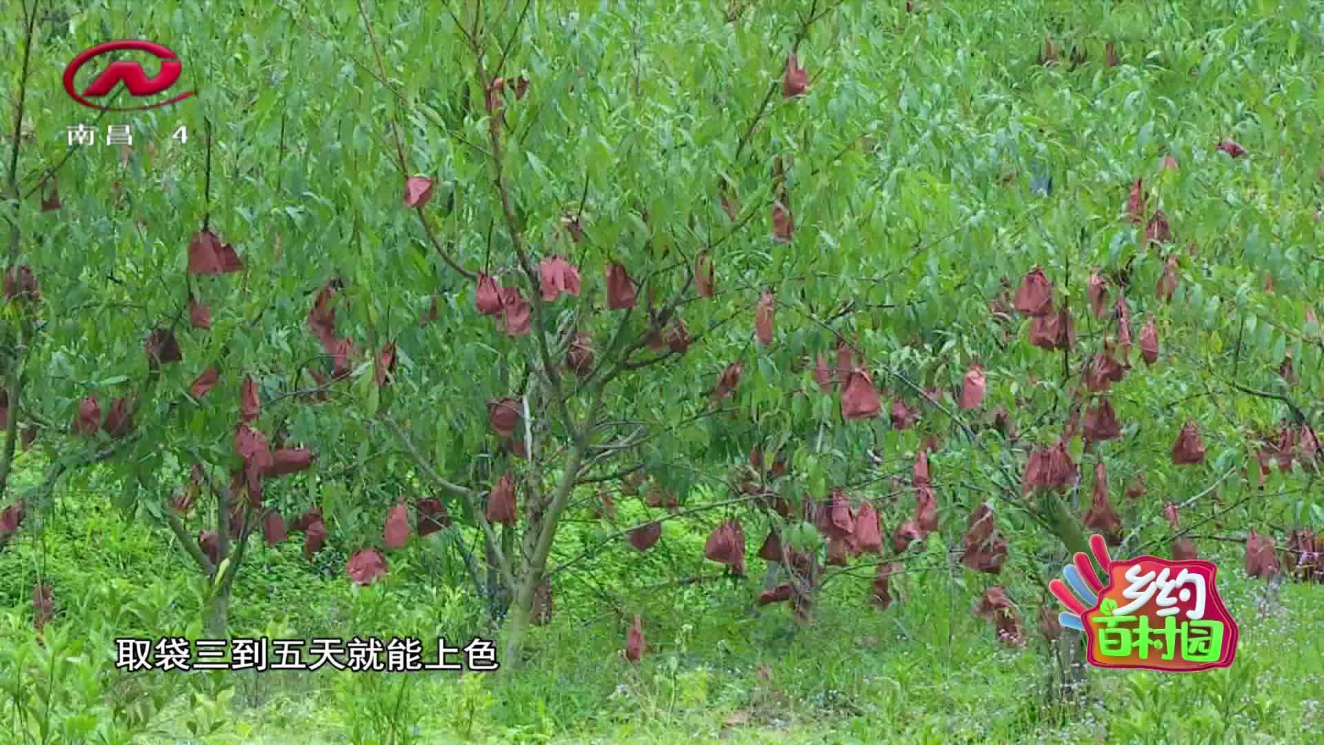 乡约百村园 2020-12-23