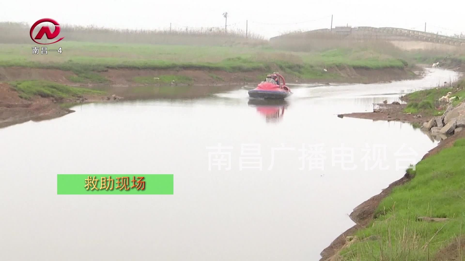 【豫章农视】天鹅受伤“迫降” 多部门联合救助