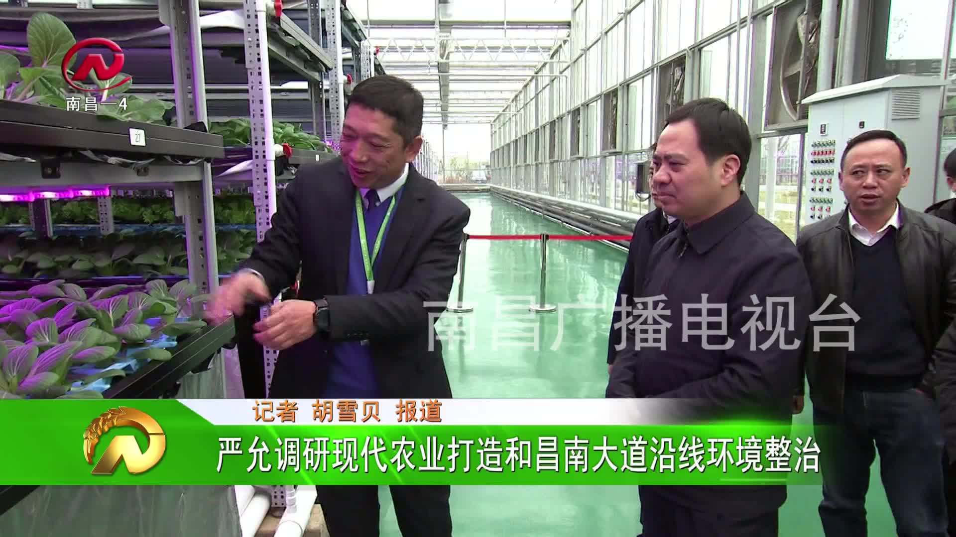 【豫章农视】严允调研现代农业打造和昌南大道沿线环境整治