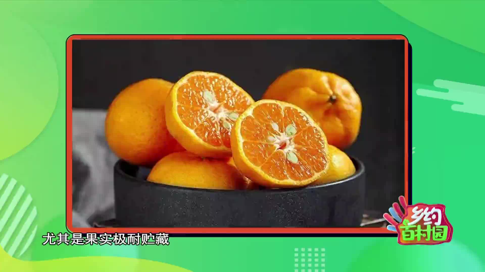 乡约百村园 2020-12-25