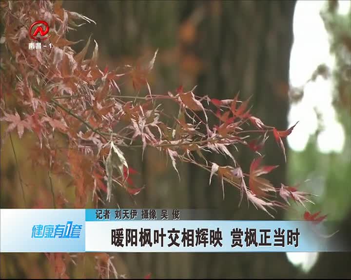 健康有一套 2020-12-29