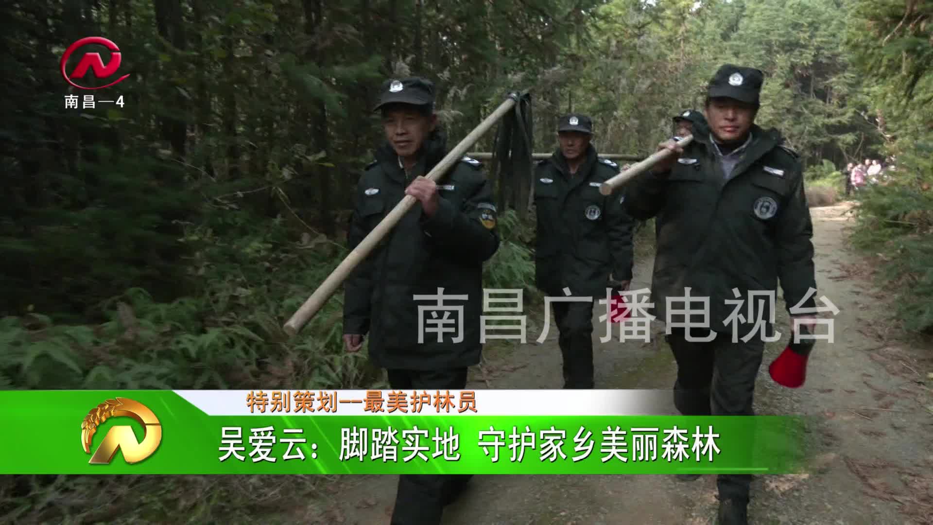 【豫章农视】最美护林员吴爱云：脚踏实地 守护家乡美丽森林