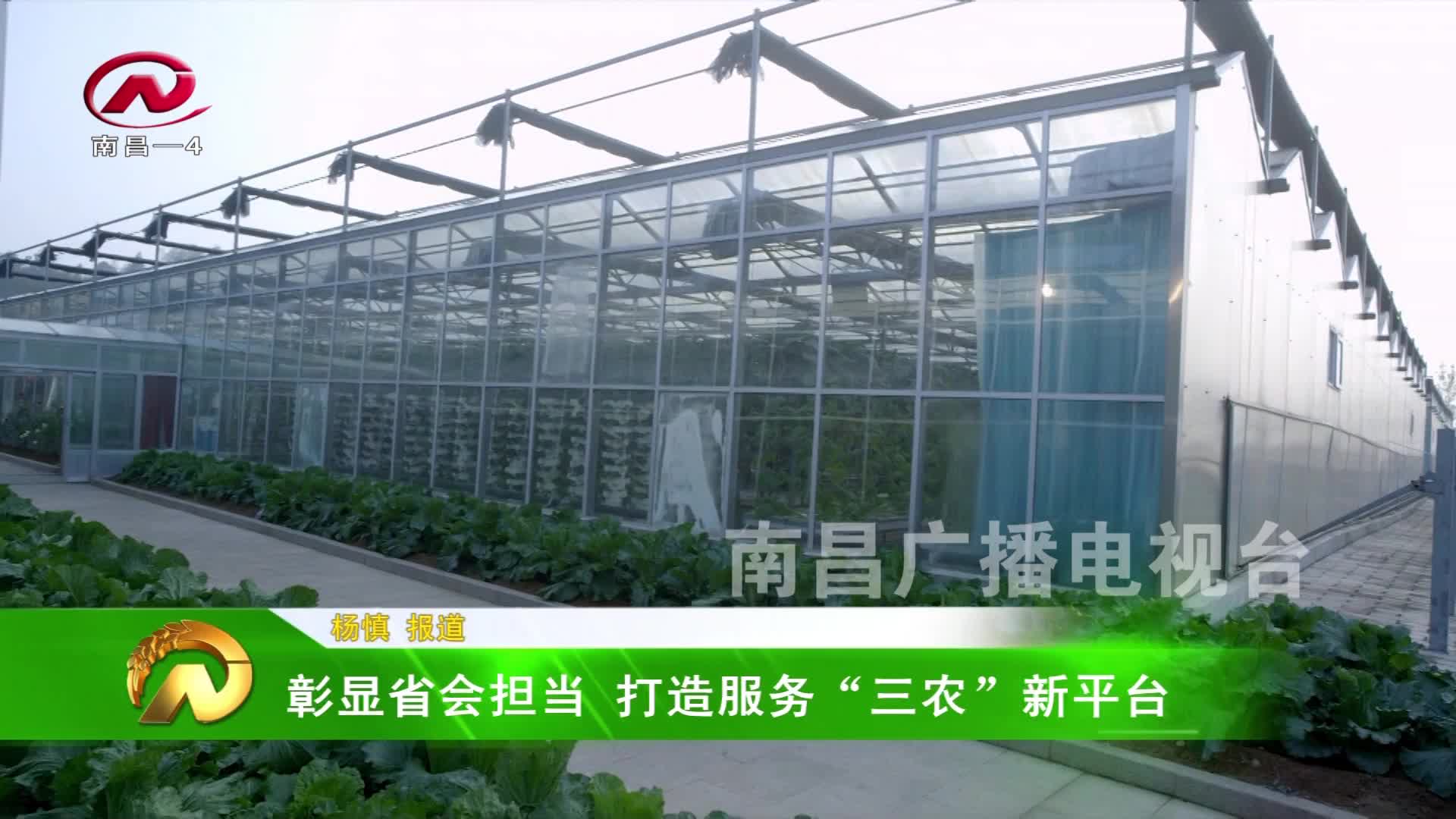 【豫章农视】彰显省会担当 打造服务“三农”新平台