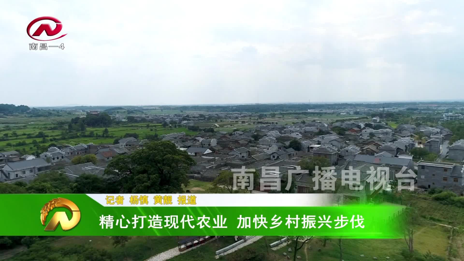 【豫章农视】精心打造现代农业 加快乡村振兴步伐