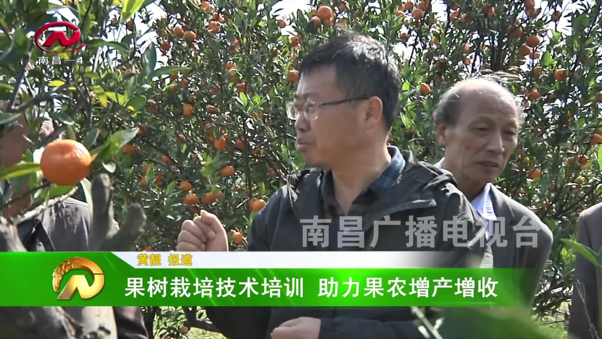 【豫章农视】果树种植有困难 农技专家来帮忙