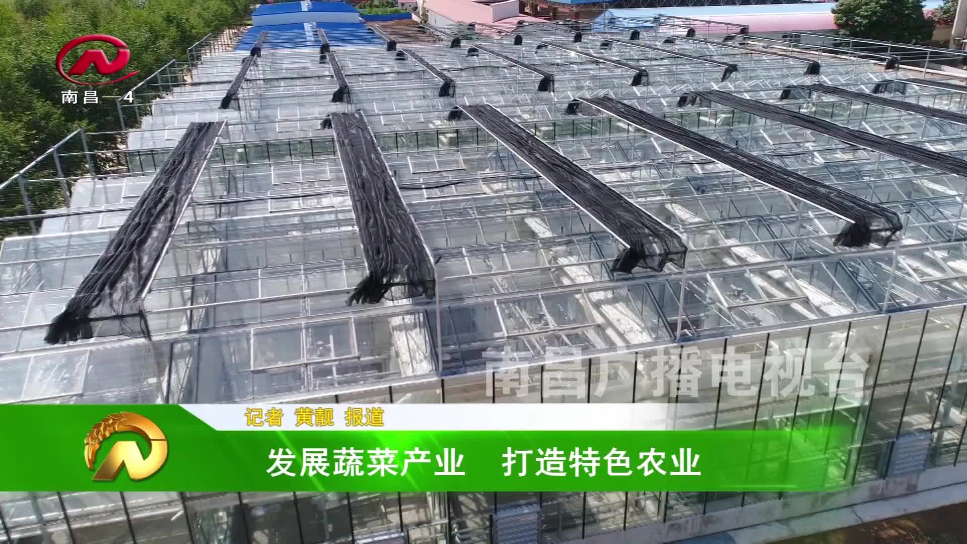 【豫章农视】发展蔬菜产业   打造特色农业