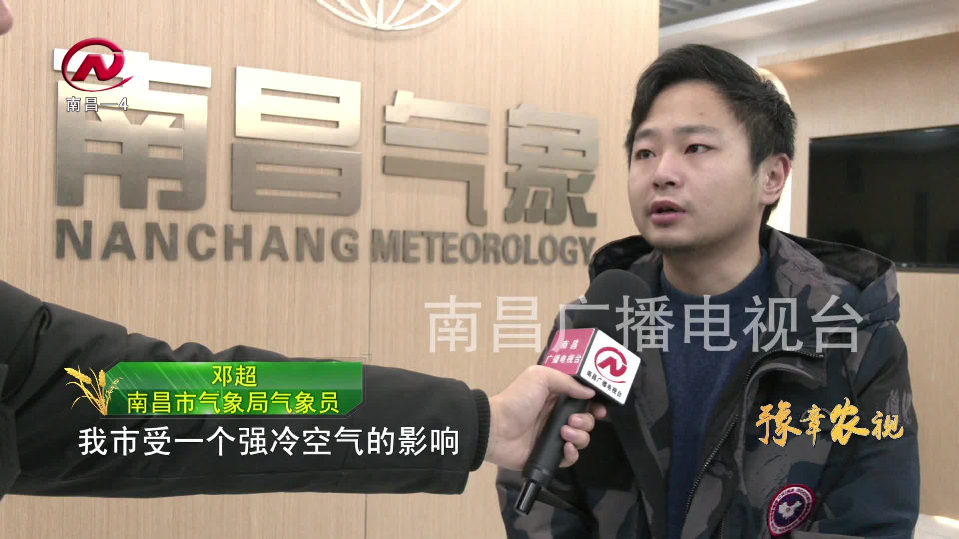 【豫章农视】跨年寒潮来袭 提前做好农作物防寒抗冻措施