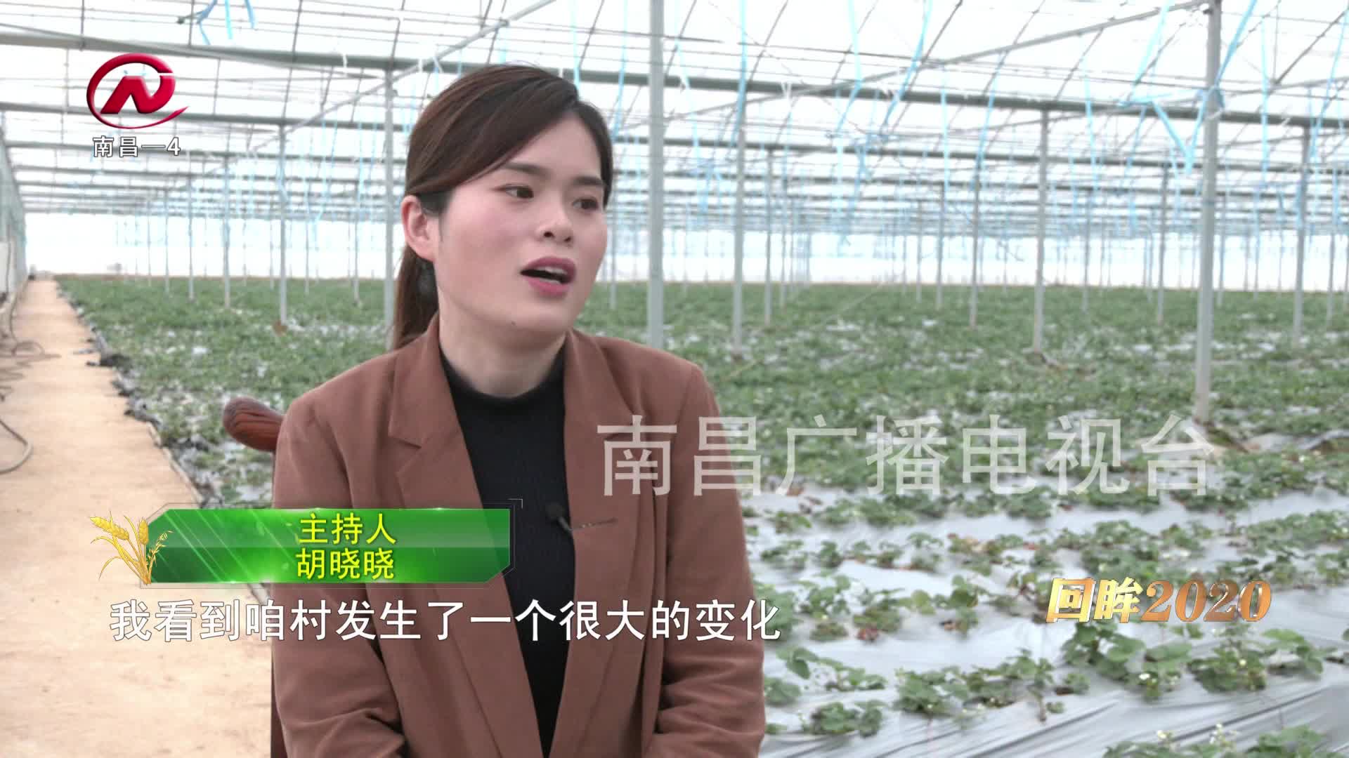 【豫章农视】曹龙友：唱响绿色生态品牌 打造现代文明新乡村