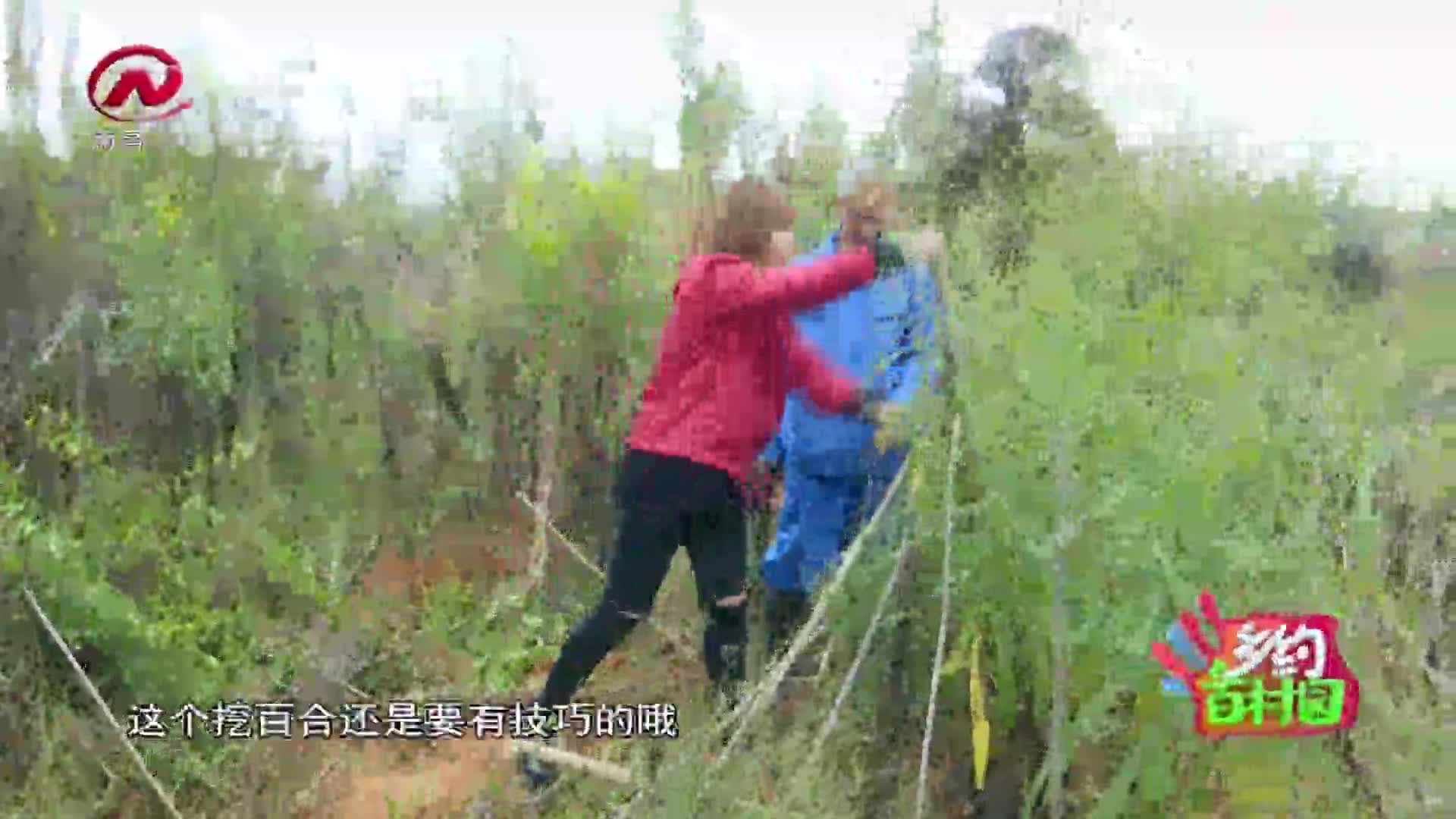 乡约百村园 2020-12-04