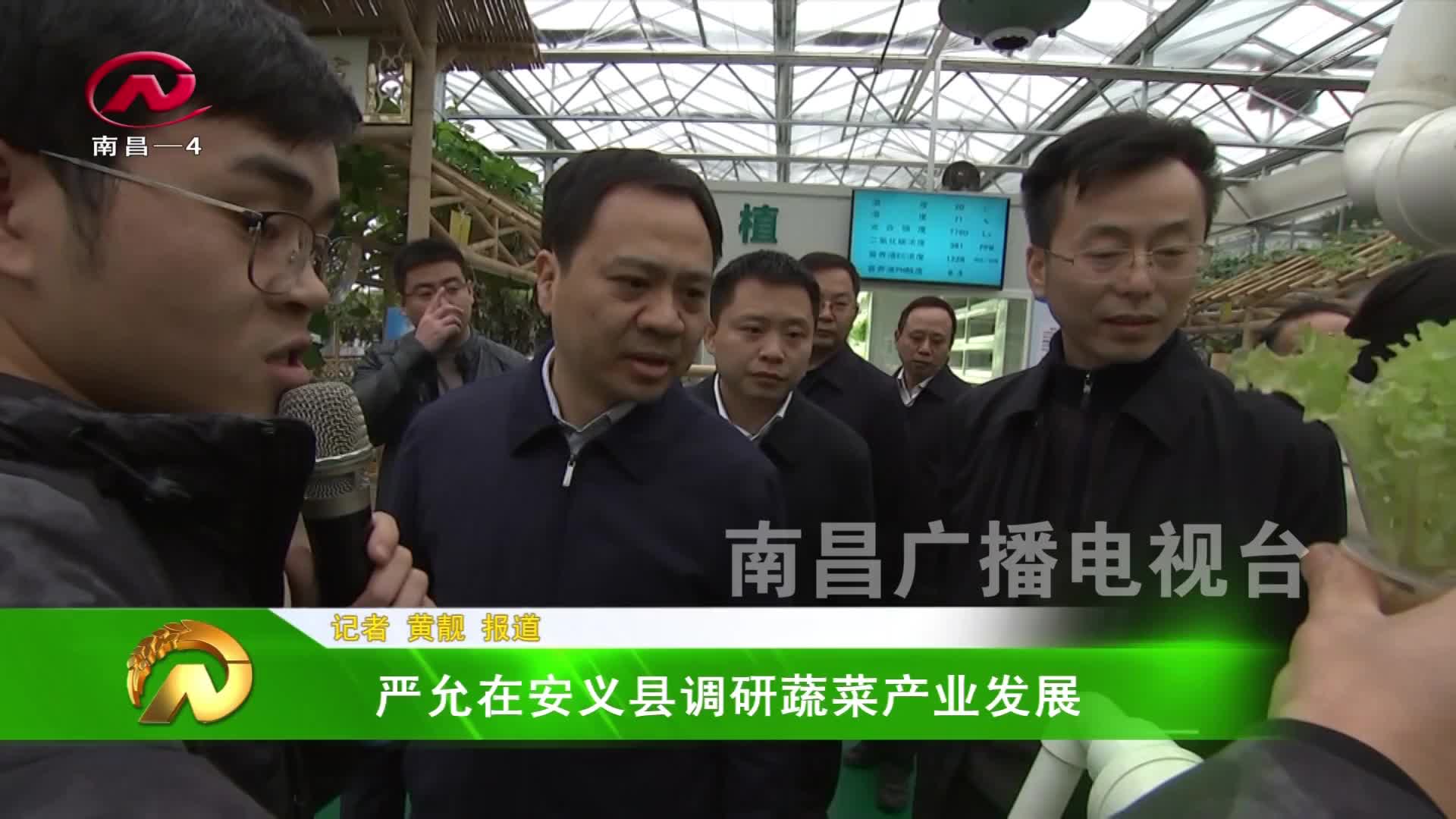 【豫章农视】严允在安义县调研蔬菜产业发展