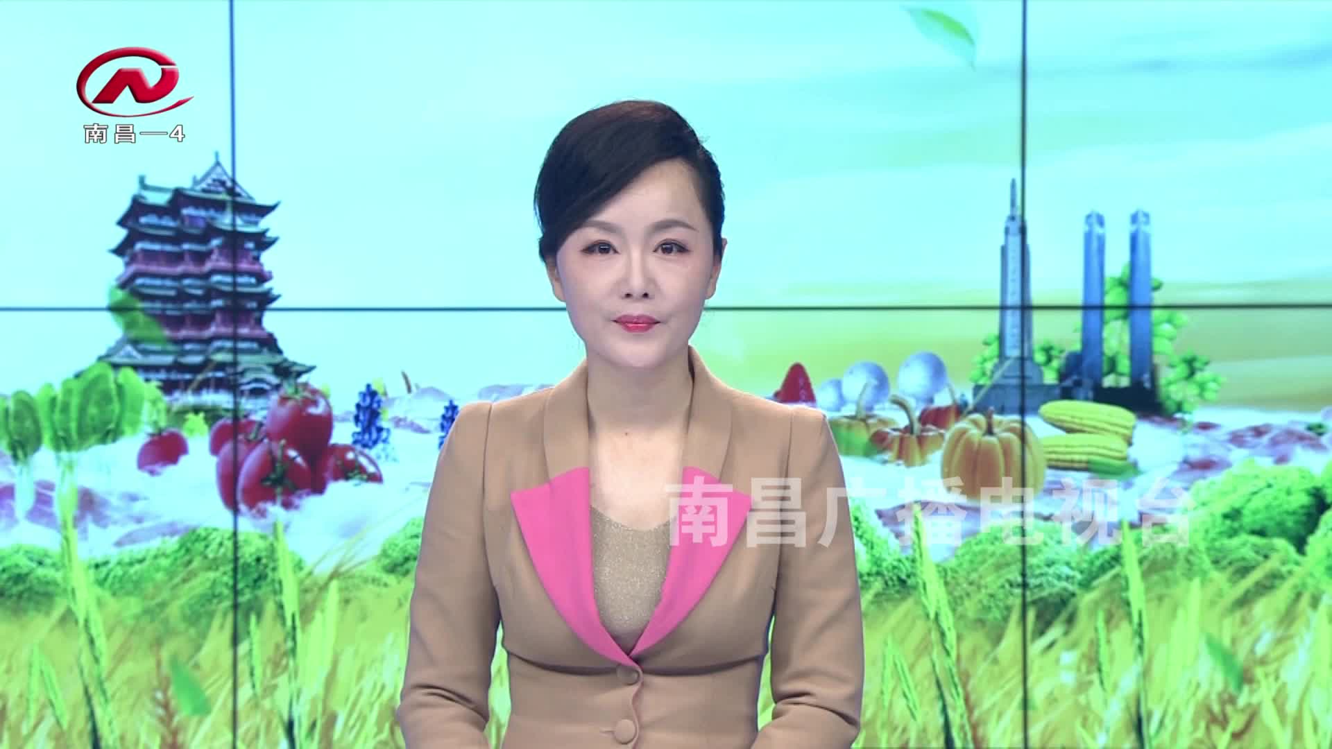 【豫章农视】进贤县：《民法典》普法宣传进乡村