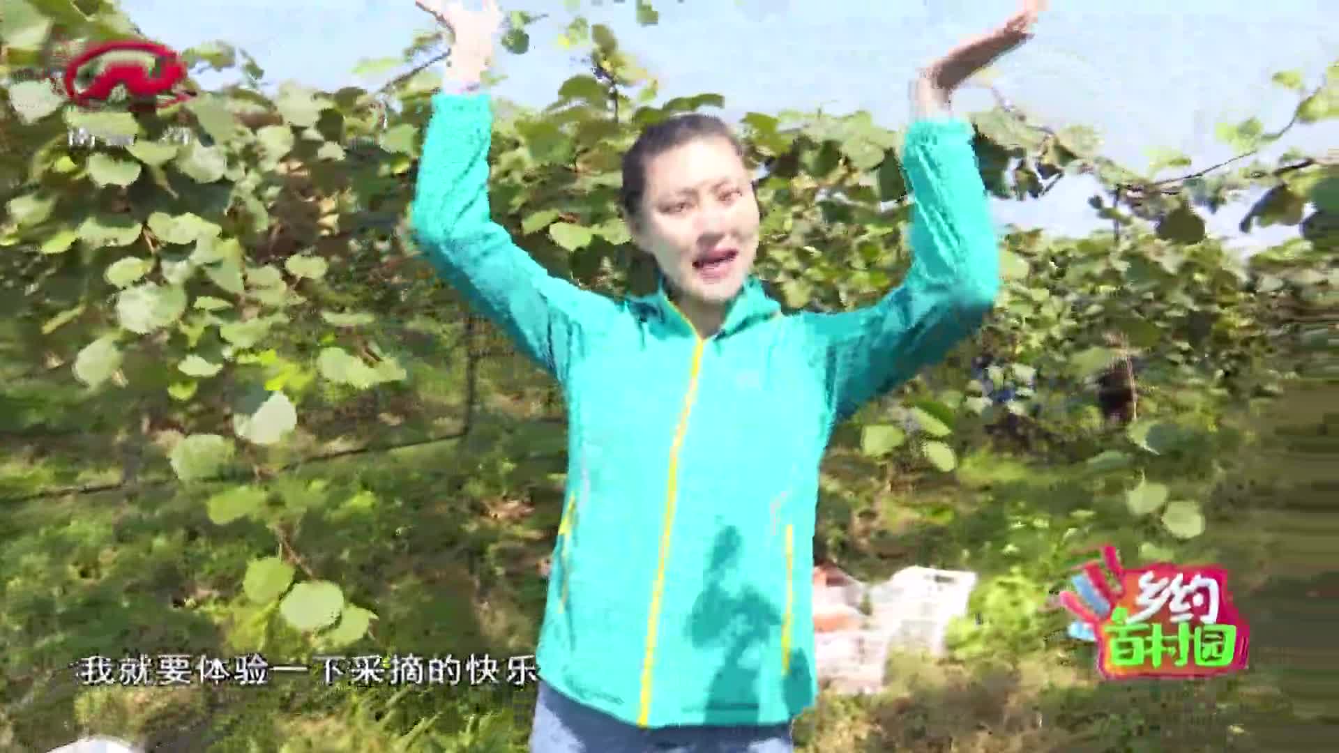 乡约百村园 2020-12-07