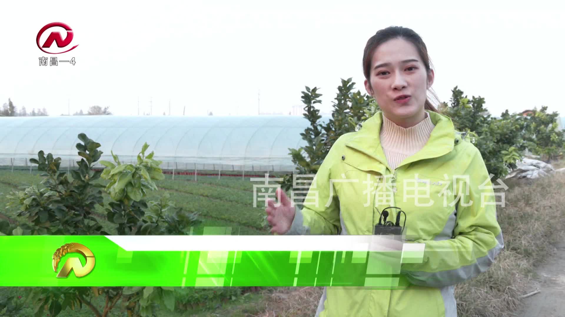 【豫章农视】乡村气象 大雪至 仲冬始