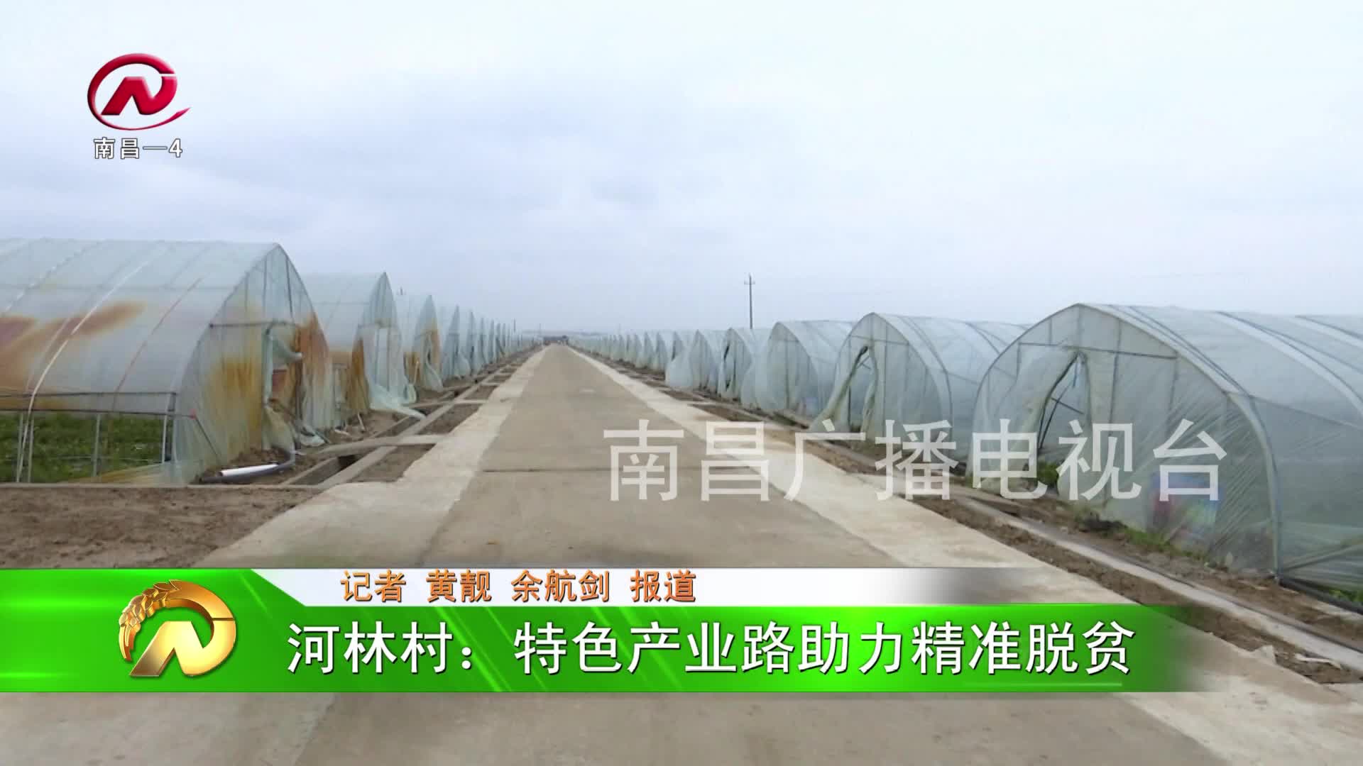 【豫章农视】河林村：特色产业路助力精准脱贫