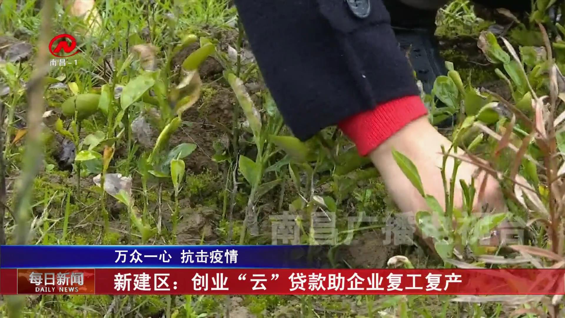 新建区：创业“云”贷款助企业复工复产