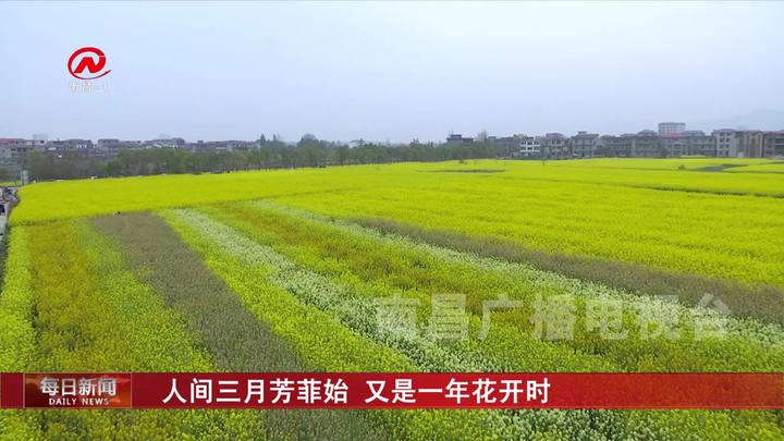 人间三月芳菲始 又是一年花开时