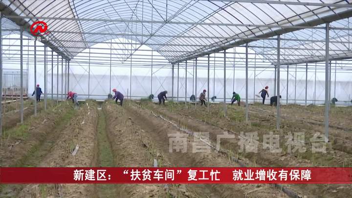 新建区：“扶贫车间”复工忙  就业增收有保障