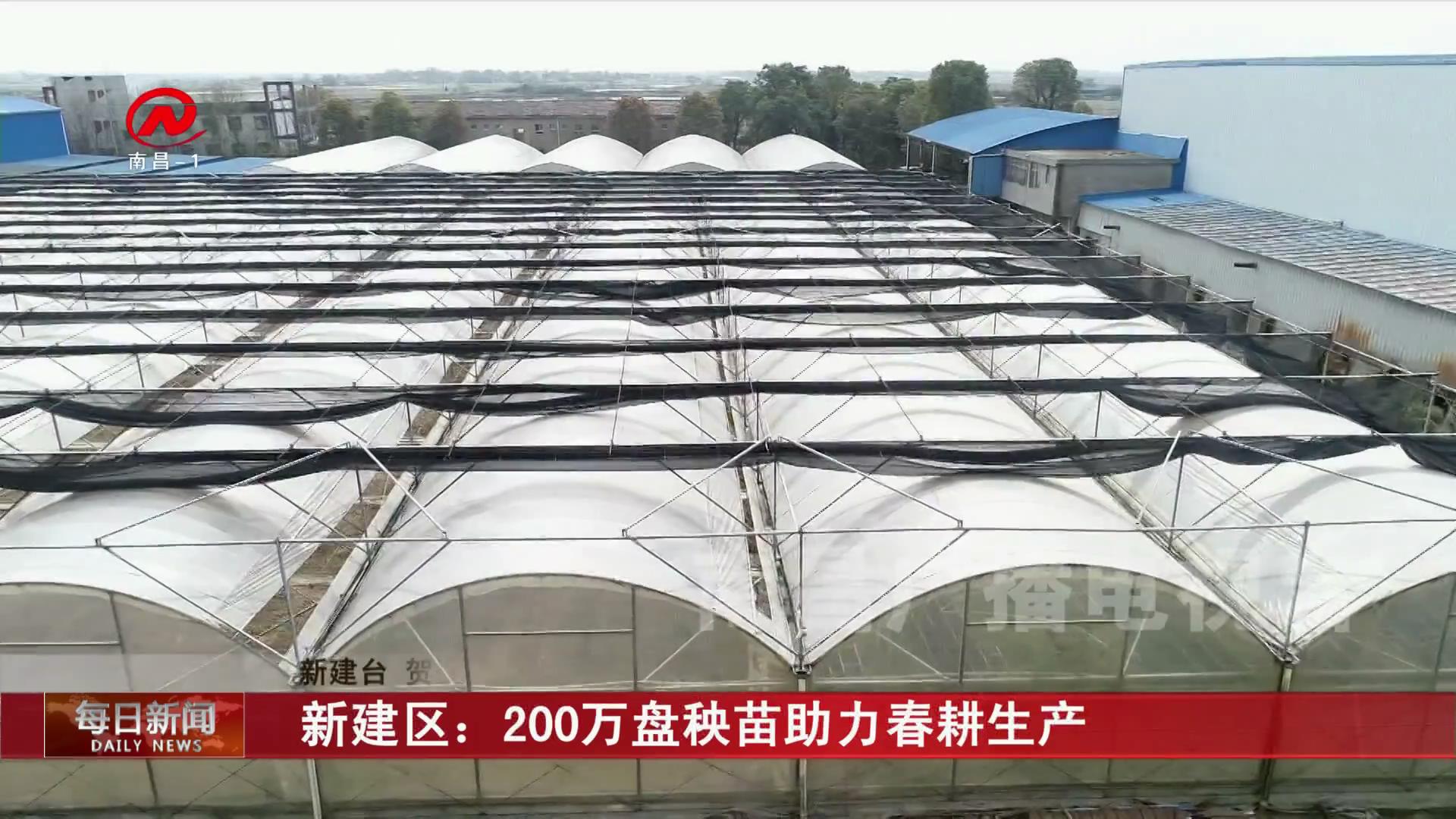 新建区：200万盘秧苗助力春耕生产