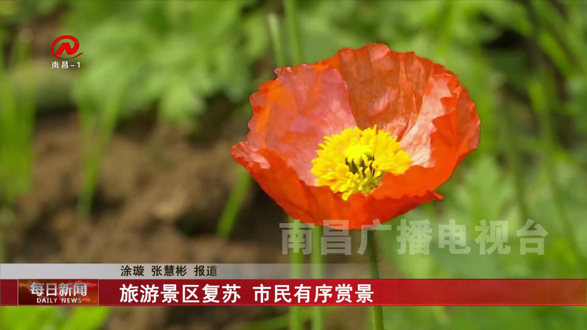 旅游景区复苏 市民有序赏景