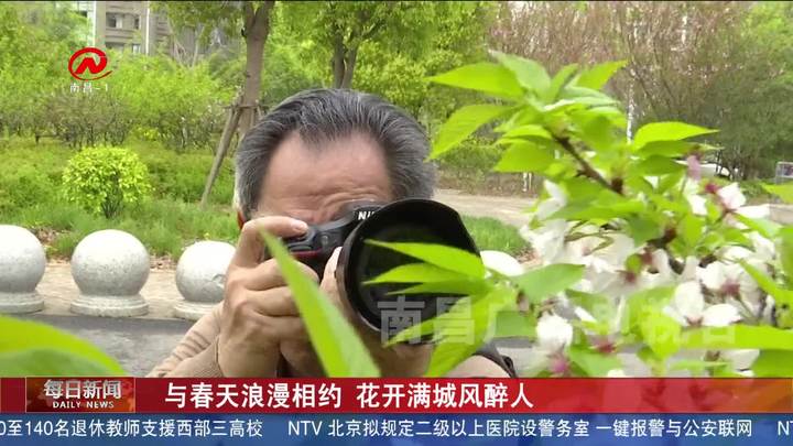 与春天浪漫相约 花开满城风醉人