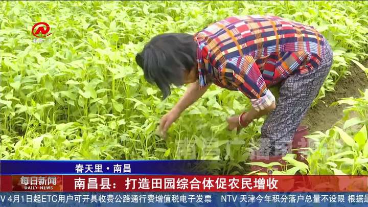 南昌县：打造田园综合体促农民增收