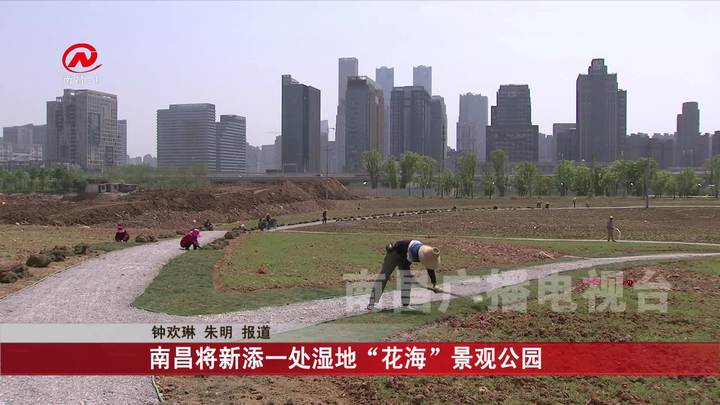 南昌将新添一处湿地“花海”景观公园