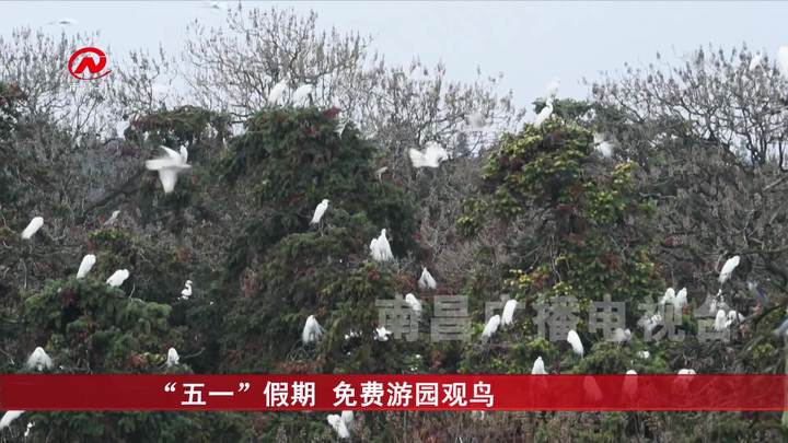 “五一”假期 免费游园观鸟