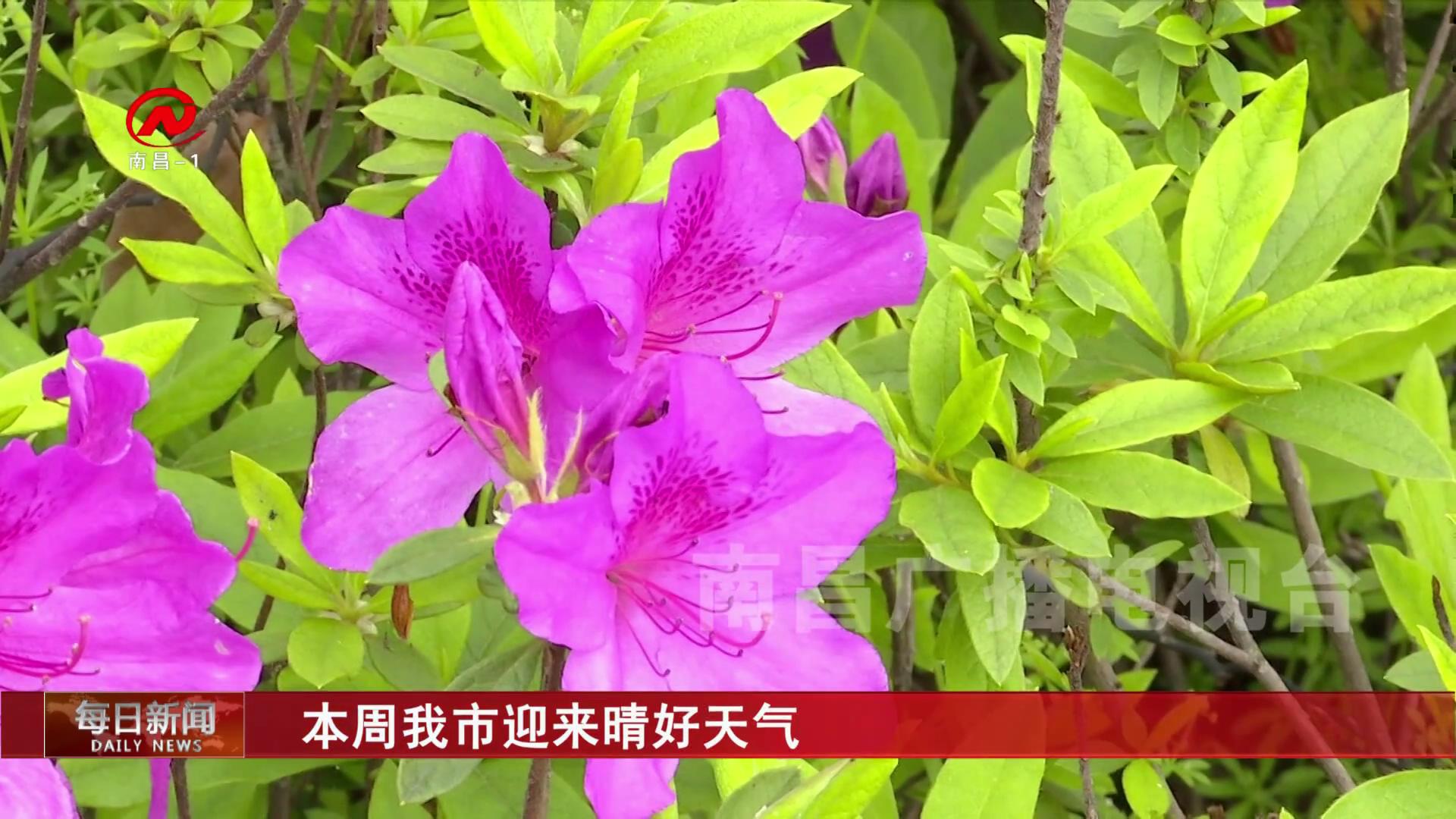 本周我市迎来晴好天气