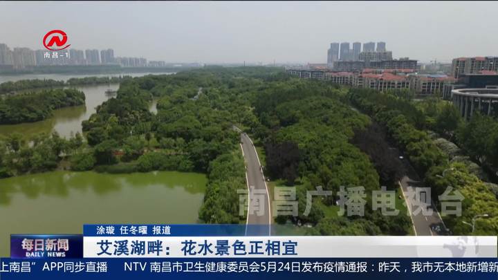 艾溪湖畔：花水景色正相宜