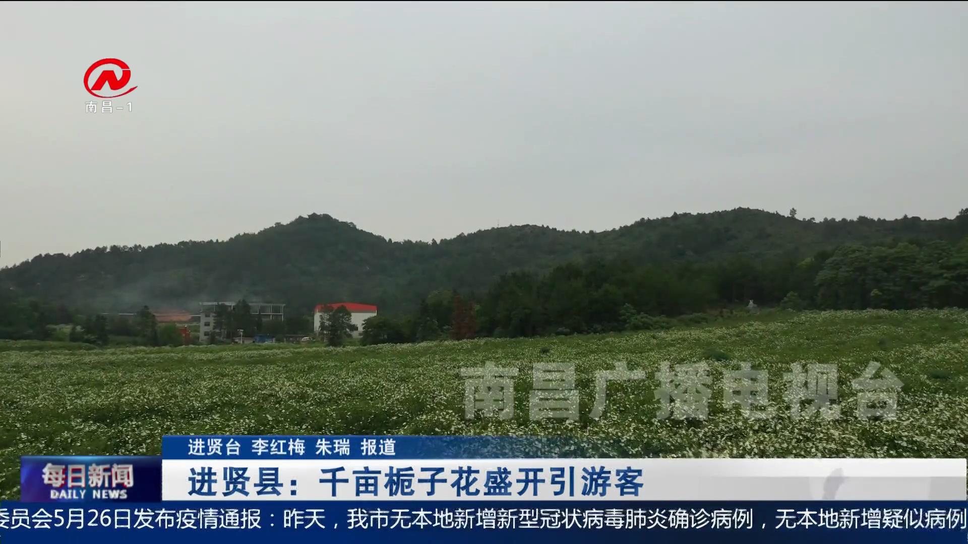 进贤县：千亩栀子花盛开引游客