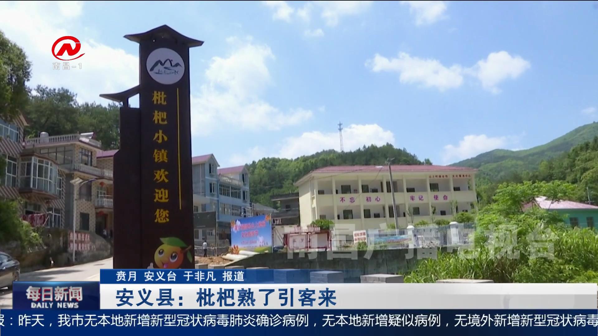 安义县：枇杷熟了引客来