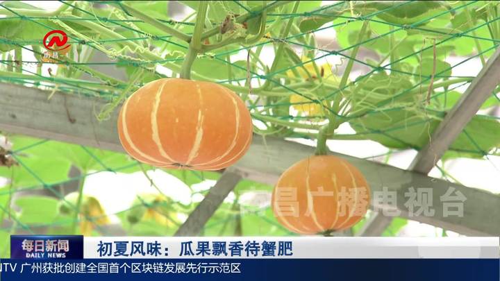 初夏风味：瓜果飘香待蟹肥
