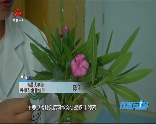 健康有一套 2020-05-29