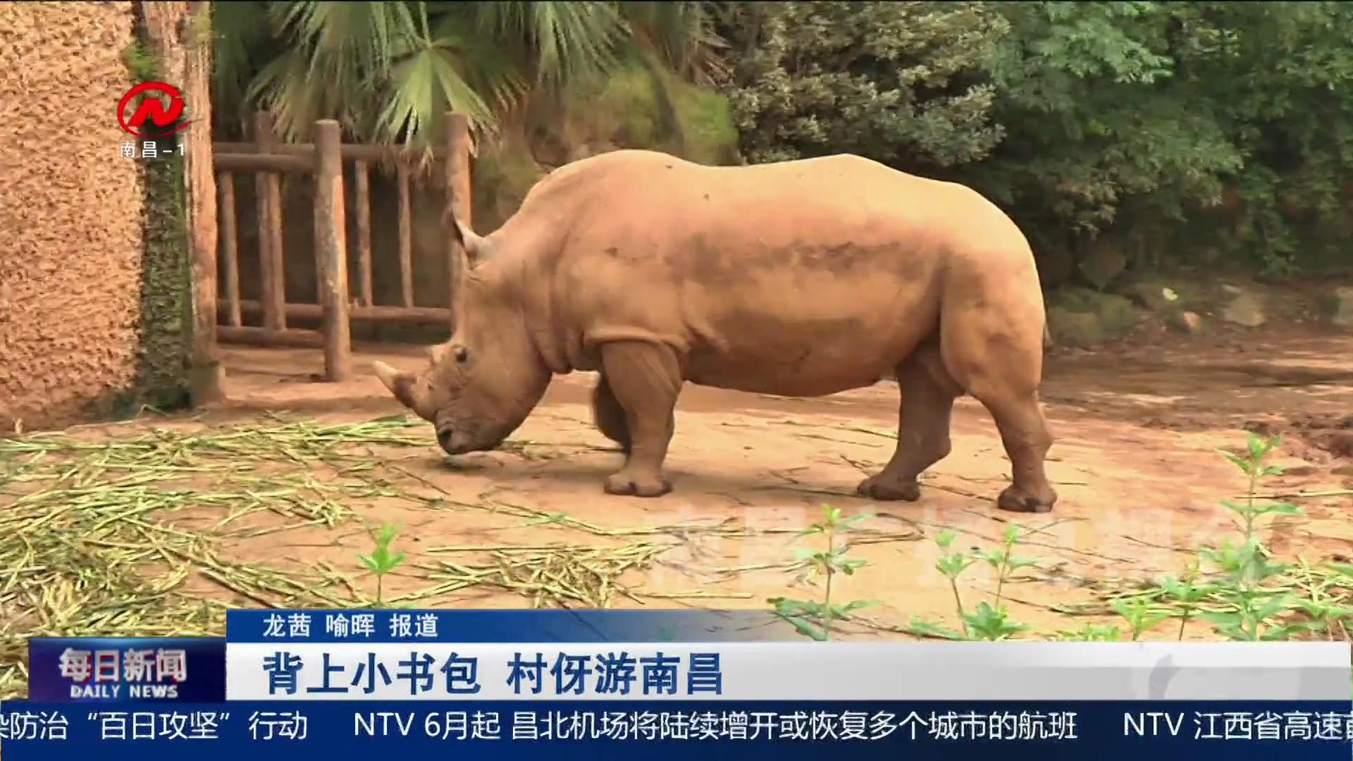 背上小书包 村伢游南昌