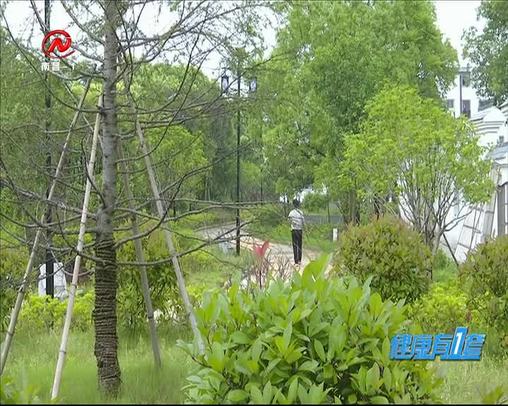 健康有一套 2020-05-30